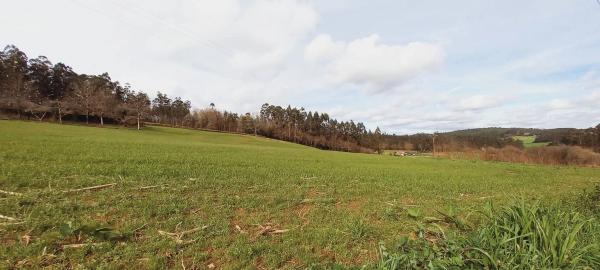 Terreno en Polígono 503.