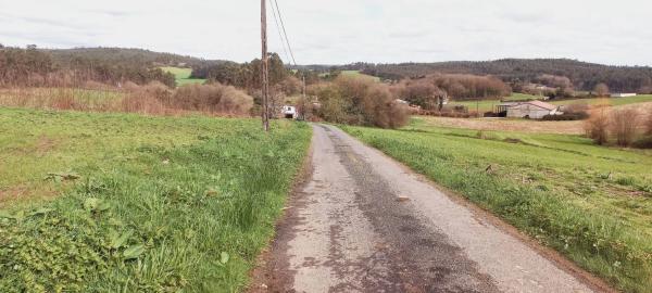 Terreno en Polígono 503.