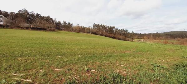 Terreno en Polígono 503.