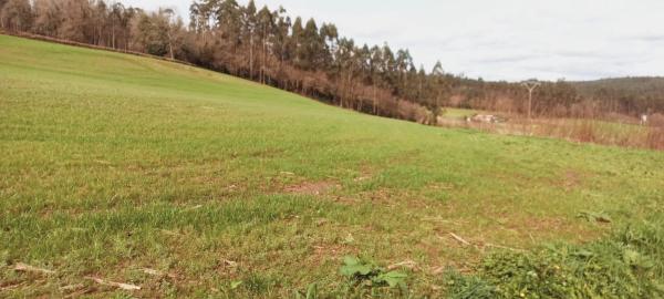 Terreno en Polígono 503.