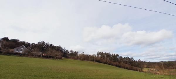 Terreno en Polígono 503.