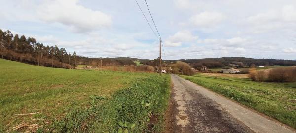 Terreno en Polígono 503.