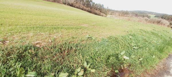 Terreno en Polígono 503.