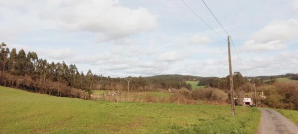 Terreno en Polígono 503.