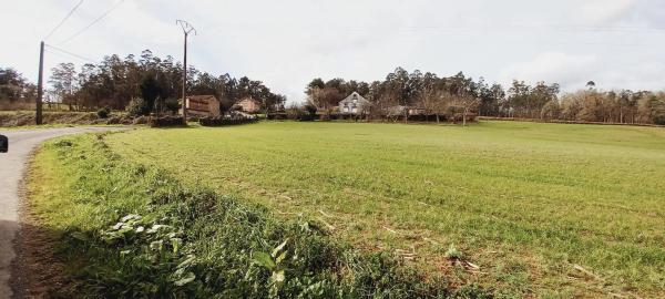 Terreno en Polígono 503.