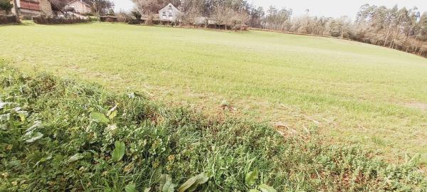 Terreno en Polígono 503.