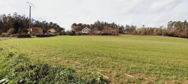 Terreno en Polígono 503.