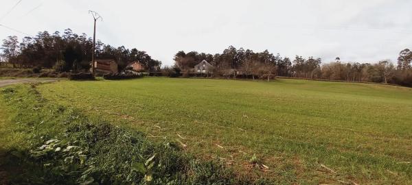 Terreno en Polígono 503.