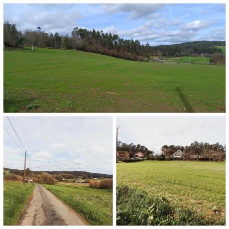 Terreno en Polígono 503.