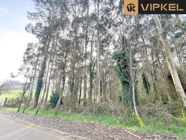 Terreno en Lagoa 15820