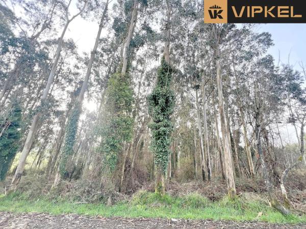 Terreno en Lagoa 15820