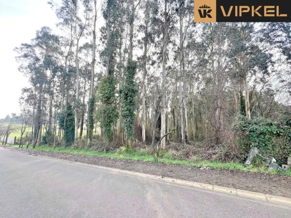 Terreno en Lagoa 15820