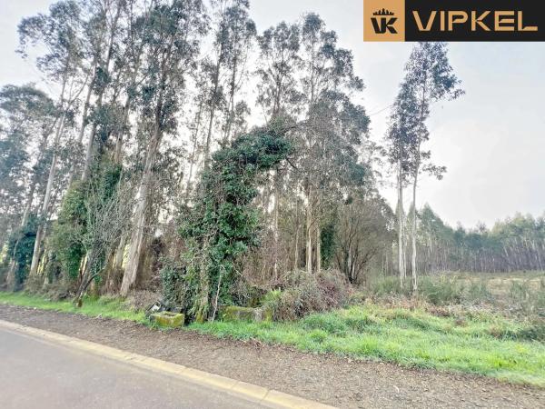 Terreno en Lagoa 15820