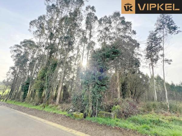 Terreno en Lagoa 15820