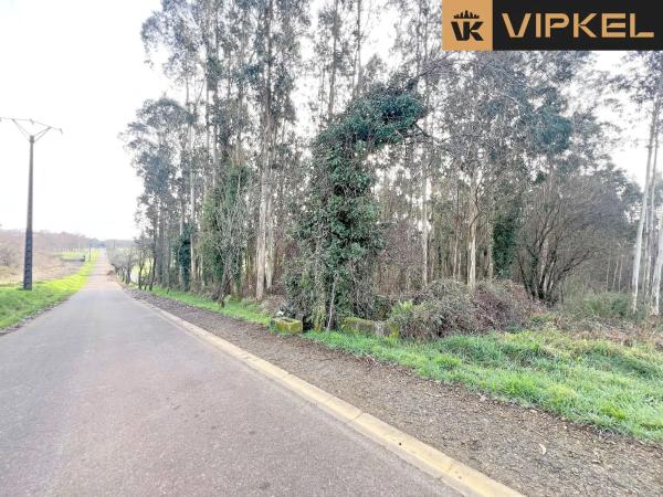 Terreno en Lagoa 15820