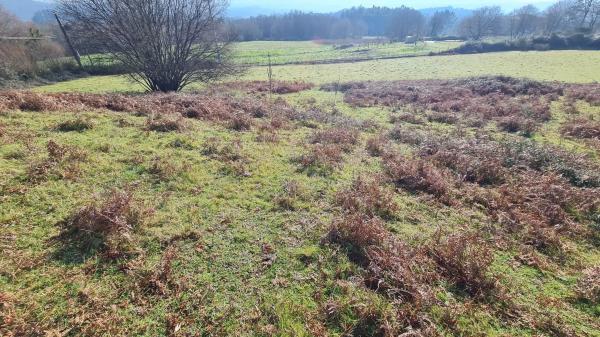 Terreno en Aldea Aguiar, 32