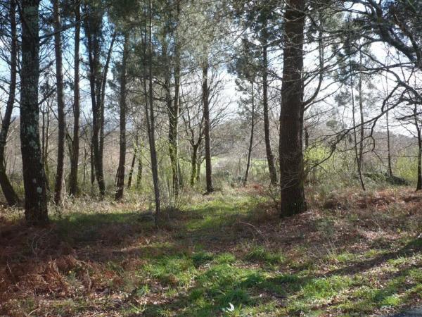 Terreno en Lugar Brans de Abaixo