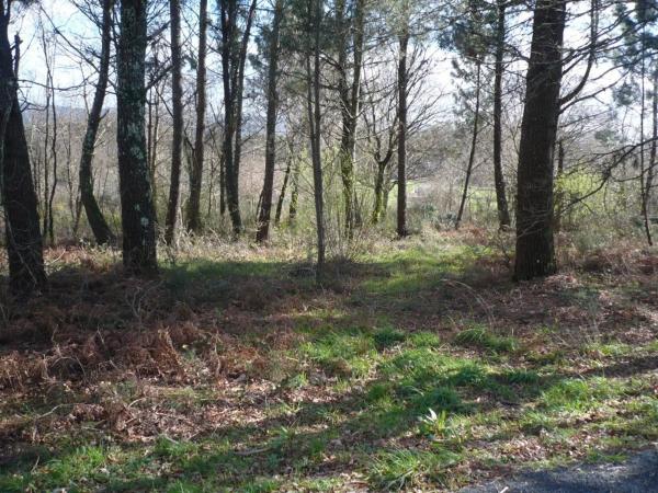Terreno en Lugar Brans de Abaixo