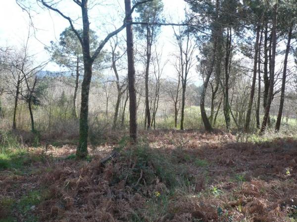 Terreno en Lugar Brans de Abaixo