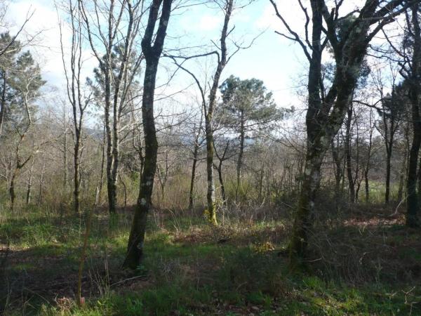 Terreno en Lugar Brans de Abaixo