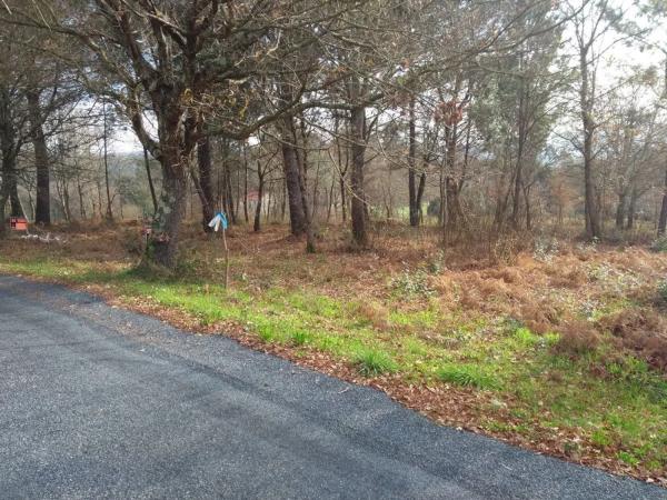 Terreno en Lugar Brans de Abaixo