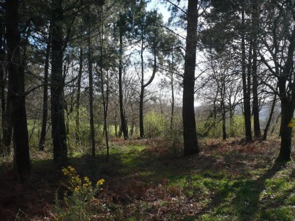 Terreno en Lugar Brans de Abaixo