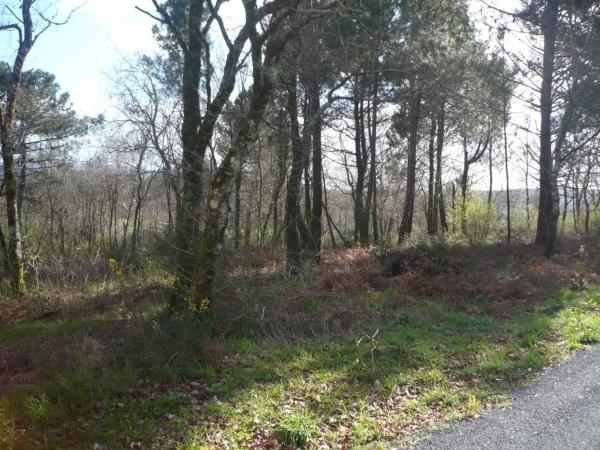 Terreno en Lugar Brans de Abaixo