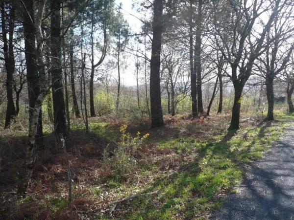 Terreno en Lugar Brans de Abaixo