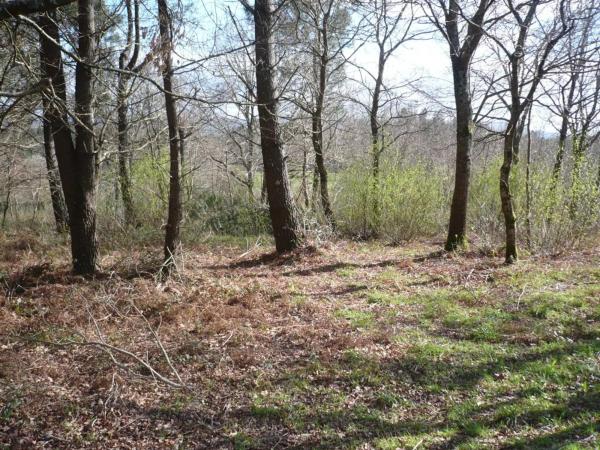 Terreno en Lugar Brans de Abaixo