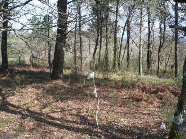 Terreno en Lugar Brans de Abaixo