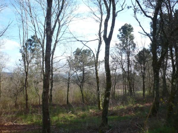 Terreno en Lugar Brans de Abaixo