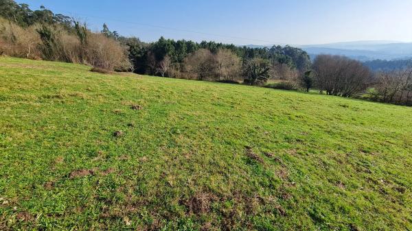 Terreno en Lugar Brans Arriba