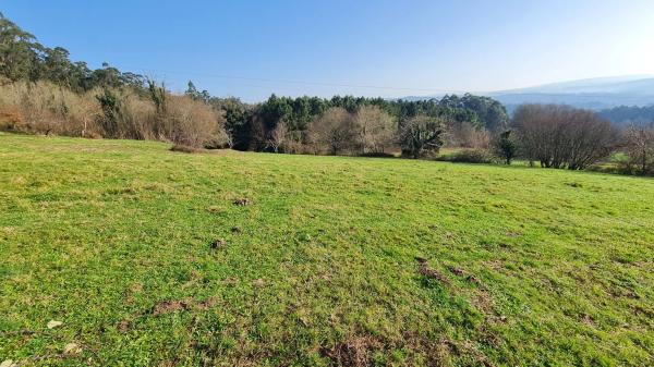 Terreno en Lugar Brans Arriba