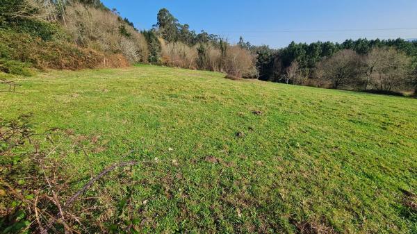 Terreno en Lugar Brans Arriba