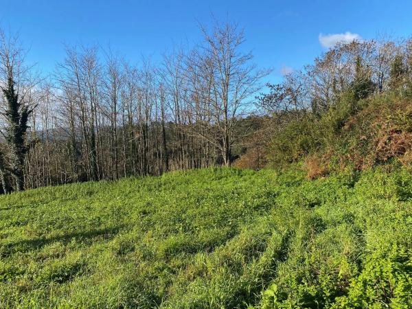 Terreno en Aldea Quistilans s/n