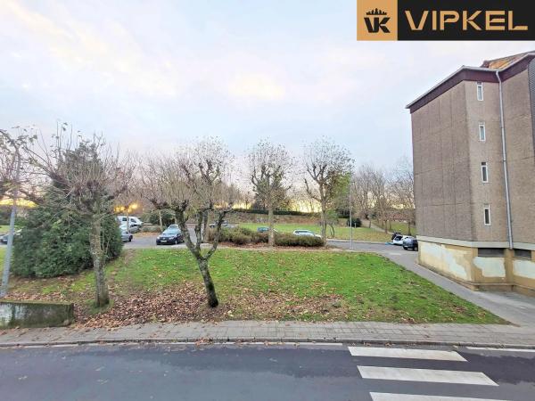 Terreno en o pino, 15