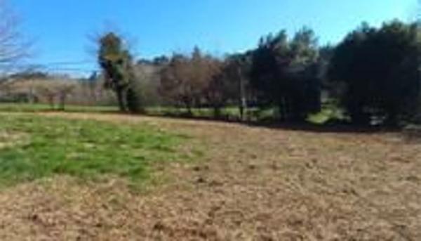 Terreno en Sta Maria de Trasmonte s/n