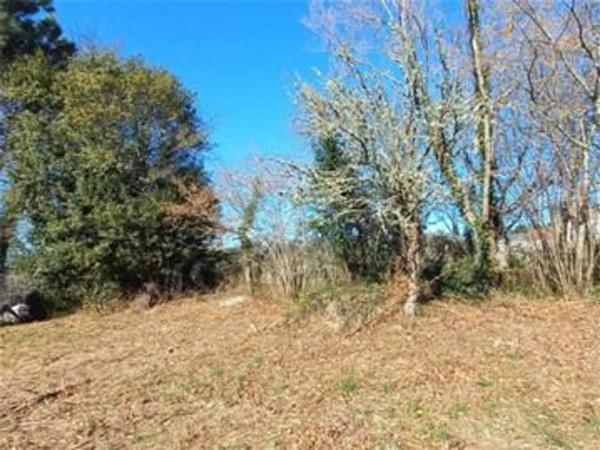 Terreno en Sta Maria de Trasmonte s/n