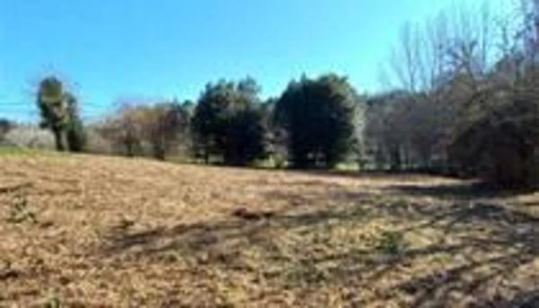 Terreno en Sta Maria de Trasmonte s/n