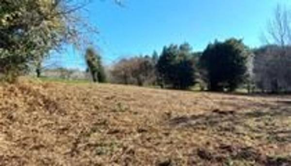 Terreno en Sta Maria de Trasmonte s/n