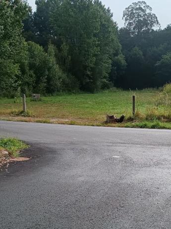 Terreno en Cantoña-Luou (Mouromorto) s/n