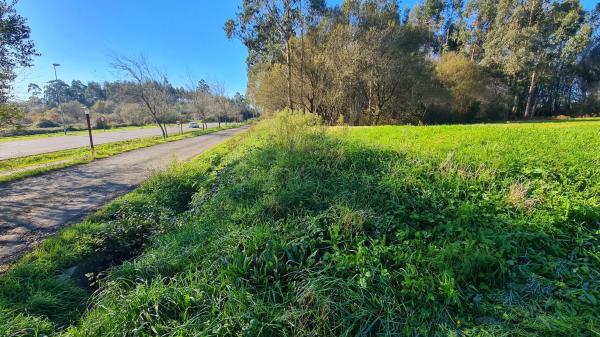 Terreno en calle da Pena Corveira, 33