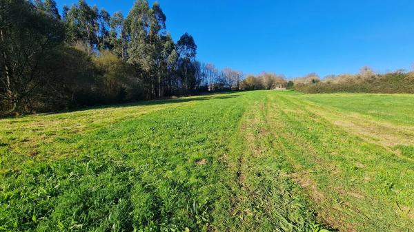 Terreno en calle da Pena Corveira, 33