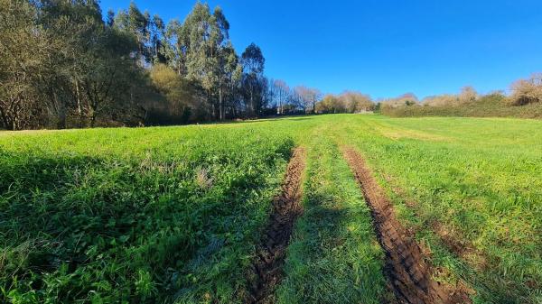 Terreno en calle da Pena Corveira, 33