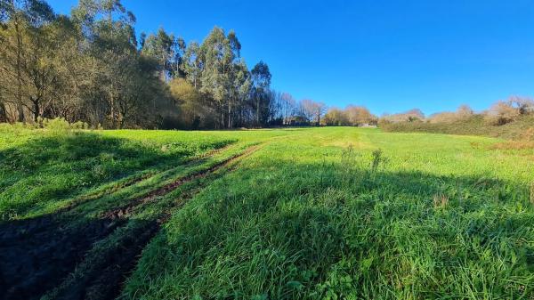 Terreno en calle da Pena Corveira, 33