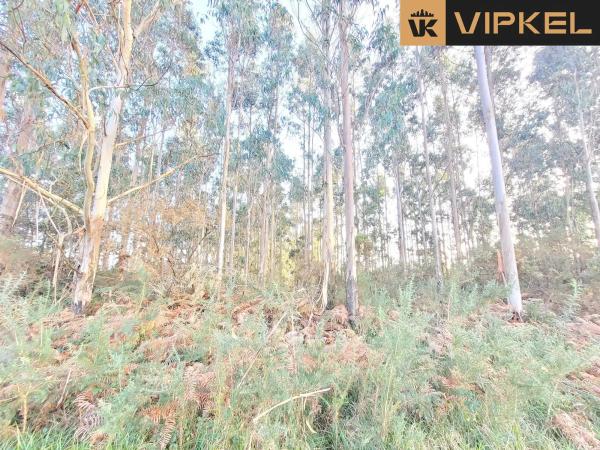 Terreno en calle de san martiño