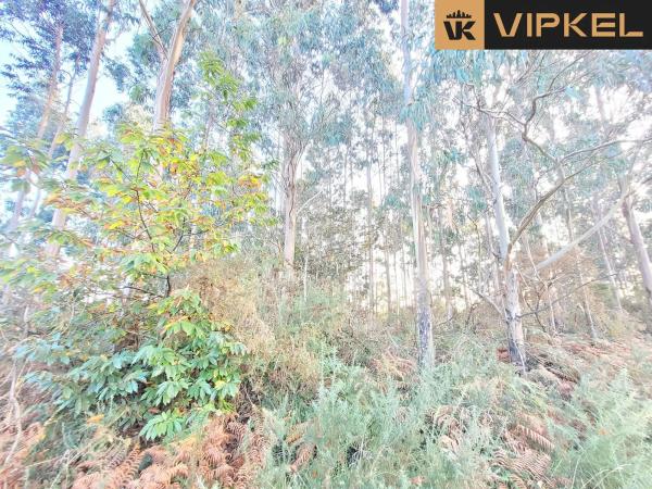 Terreno en calle de san martiño