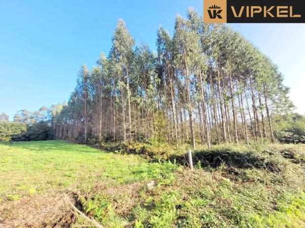 Terreno en travesía de sanxuas