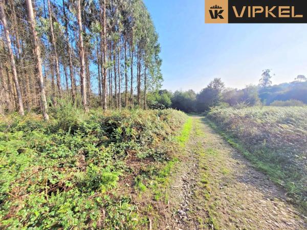 Terreno en travesía de sanxuas