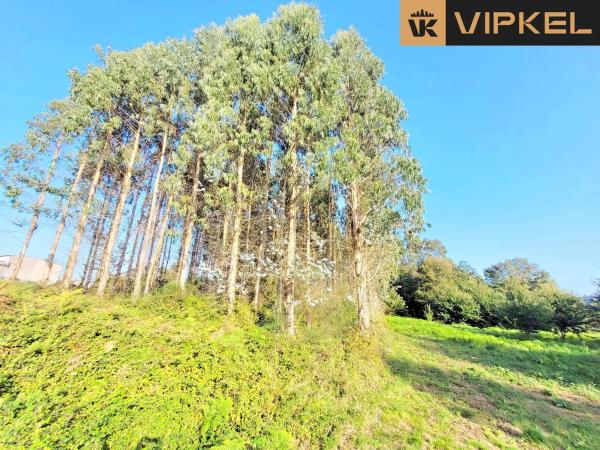 Terreno en travesía de sanxuas